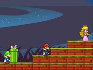 Mario Bros Save Princess