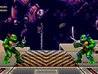 Teenage Mutant Turtle Ninja Tournament Fighters